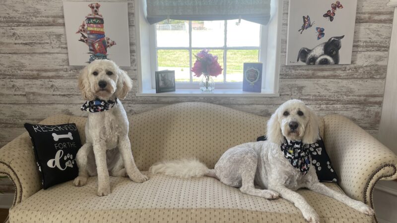 The Hound Lounge LLC - Louisburg, KS