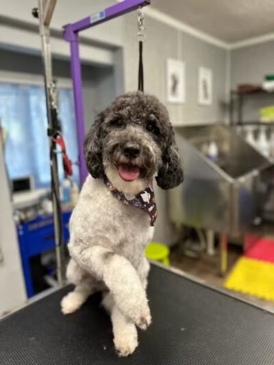 The Hound Lounge LLC - Louisburg, KS