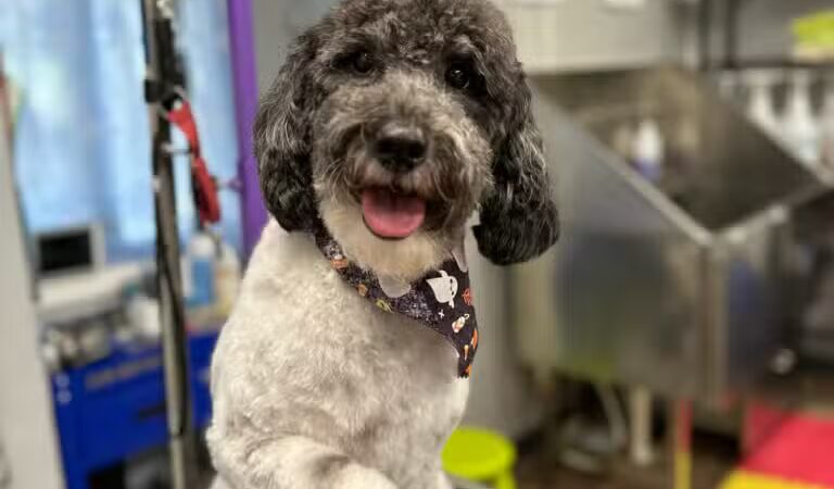 The Hound Lounge LLC - Louisburg, KS