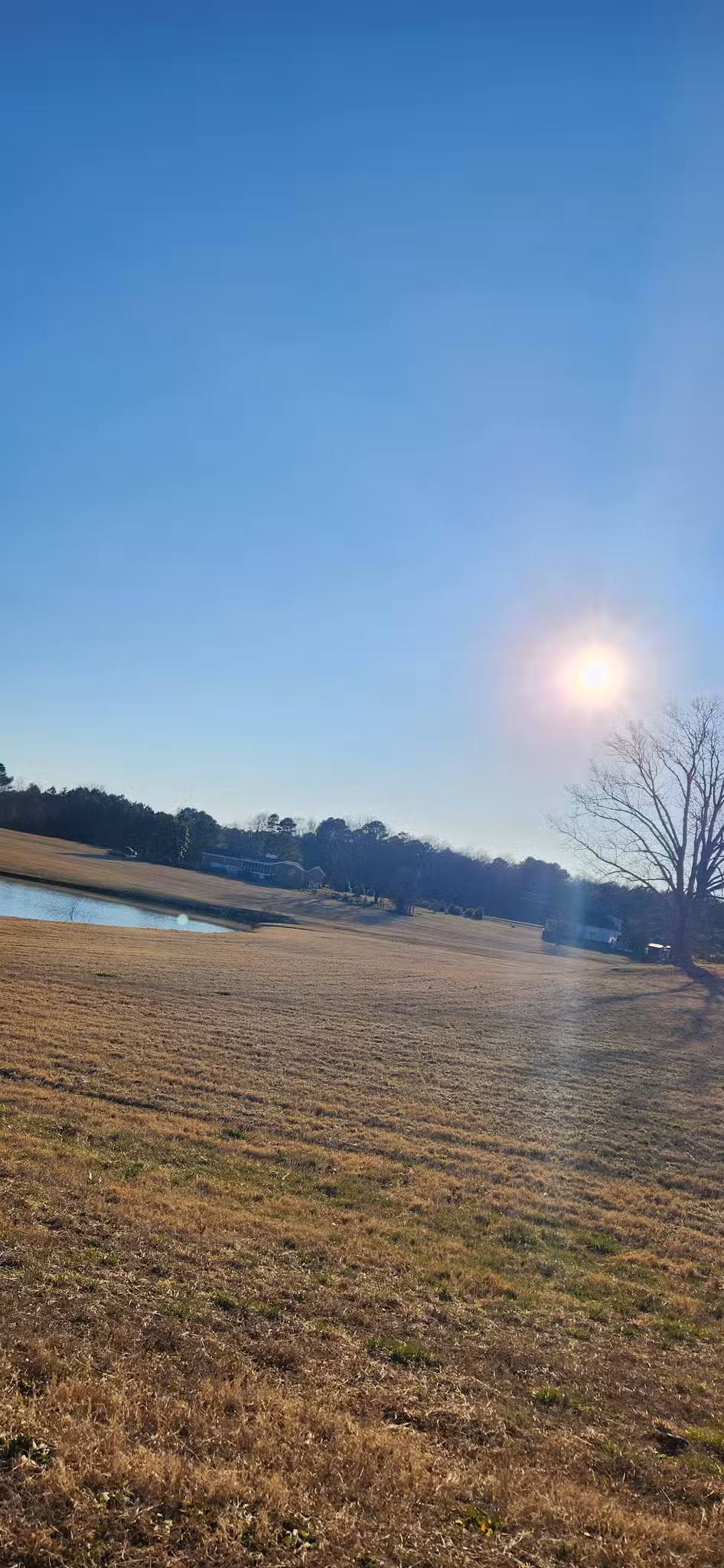 Owen's Park - Louisburg, NC