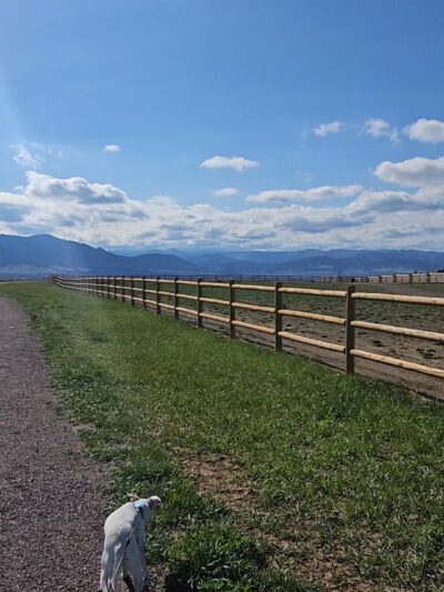 Davidson Mesa Open Space Dog Off-leash area - Louisville, CO