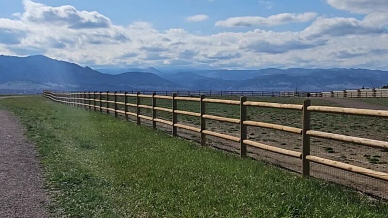 Davidson Mesa Open Space Dog Off-leash area - Louisville, CO
