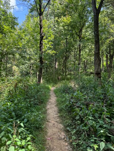 Beargrass Creek State Nature Preserve - Louisville, KY