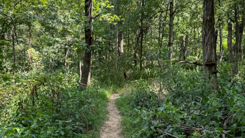 Beargrass Creek State Nature Preserve - Louisville, KY