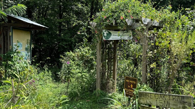 Beargrass Creek State Nature Preserve - Louisville, KY