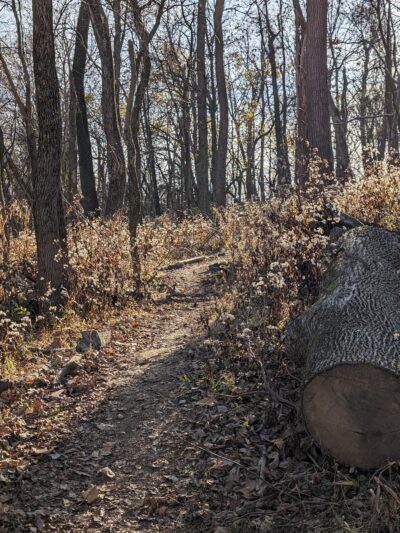 Beargrass Creek State Nature Preserve - Louisville, KY