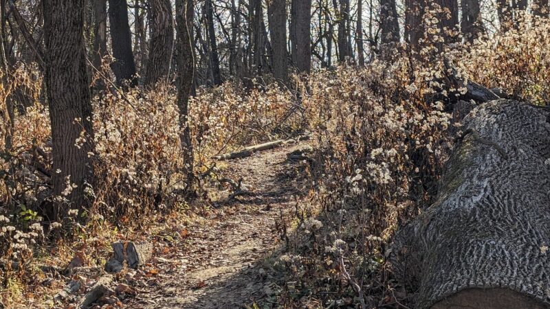 Beargrass Creek State Nature Preserve - Louisville, KY