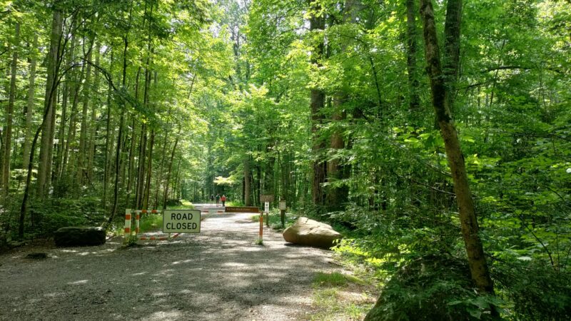 Cherokee Park - Louisville, KY