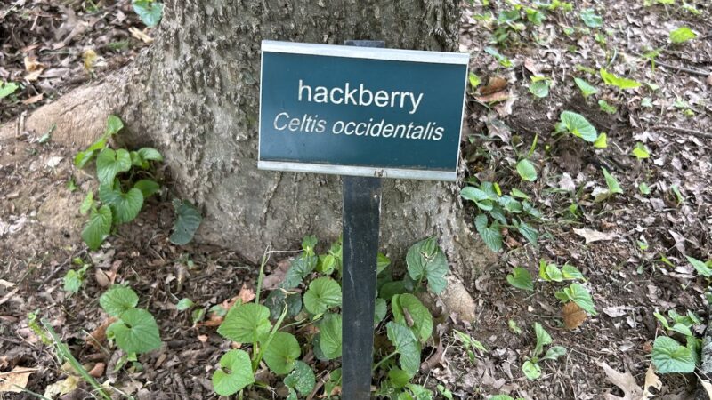 Crossbill Park - Louisville, KY