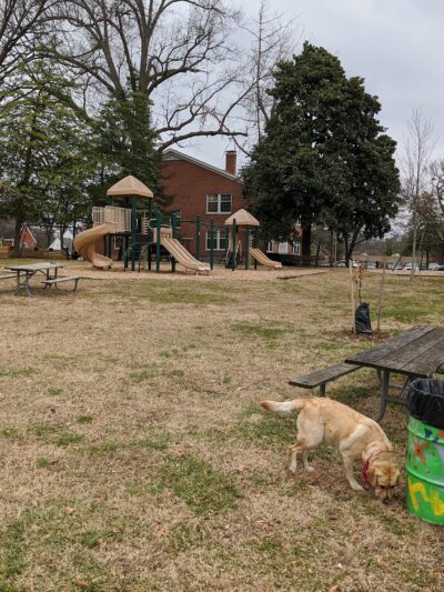 Douglass Park - Louisville, KY