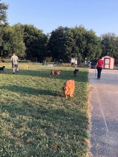 E.P. Tom Sawyer Park Community Garden - Louisville, KY