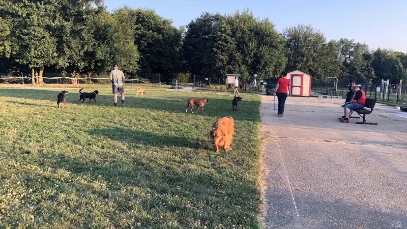 E.P. Tom Sawyer Park Community Garden - Louisville, KY