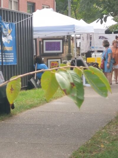 Old Louisville Dog Run (Members Only) - Louisville, KY