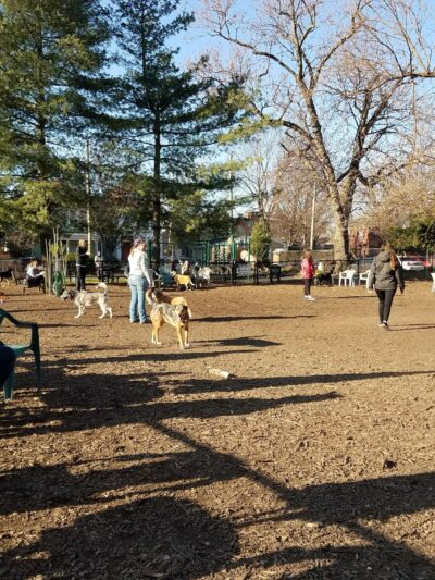 Patterson Playground - Louisville, KY