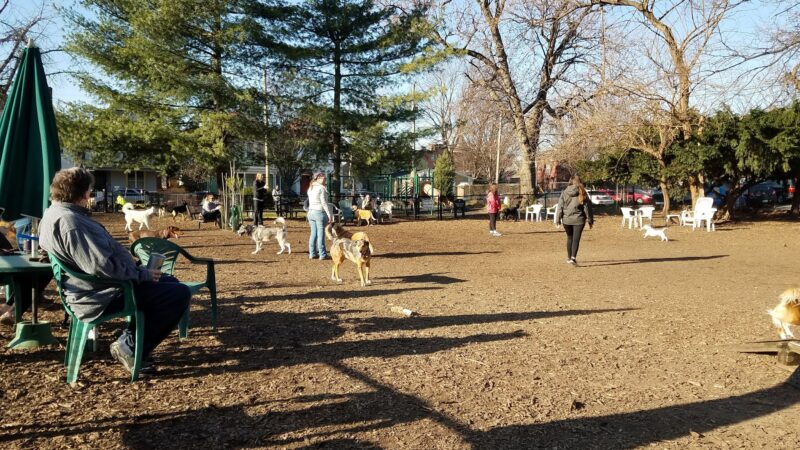 Patterson Playground - Louisville, KY
