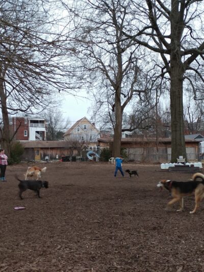 Patterson Playground - Louisville, KY