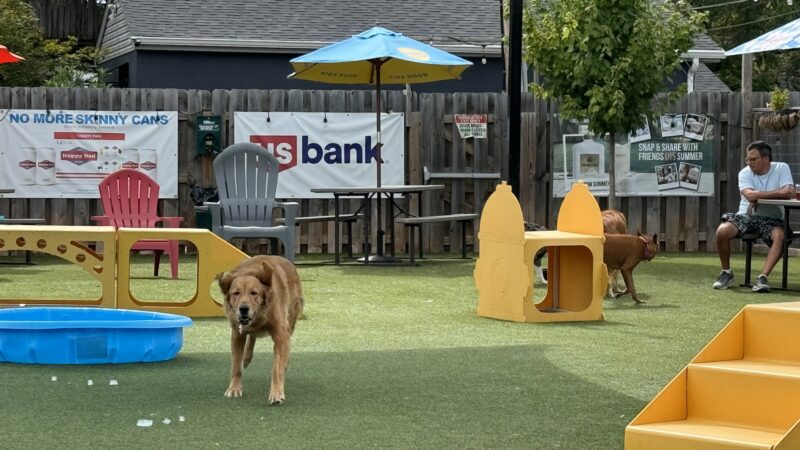 PG&J's Dog Park Bar - Louisville, KY