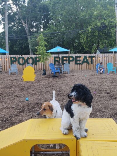 PG&J's Dog Park Bar - Louisville, KY
