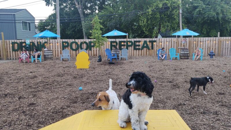 PG&J's Dog Park Bar - Louisville, KY