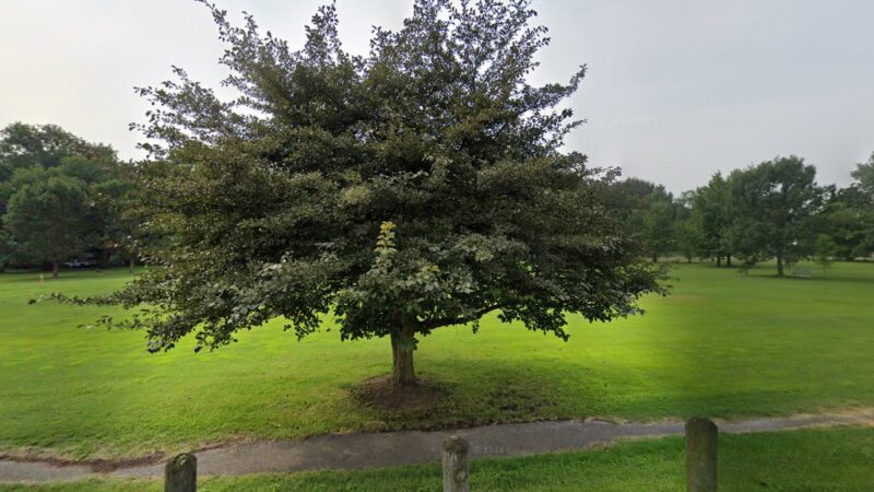 Preston Park - Louisville, KY