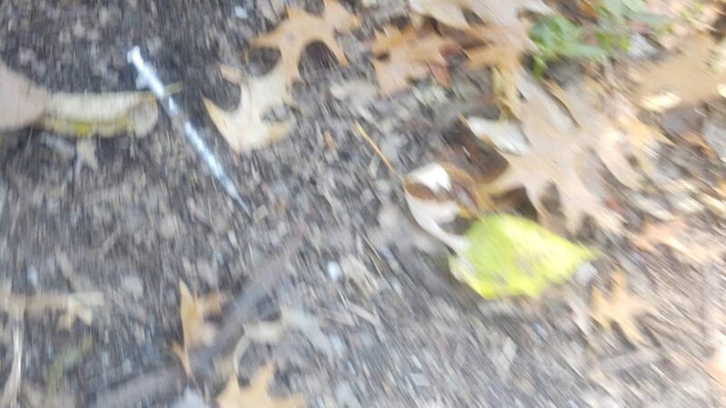 Preston Park - Louisville, KY