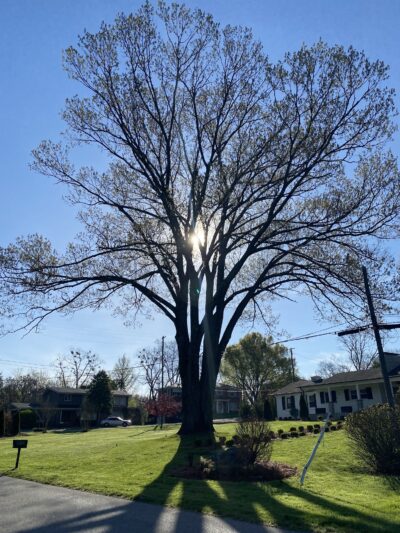 Seneca Park Loop - Louisville, KY