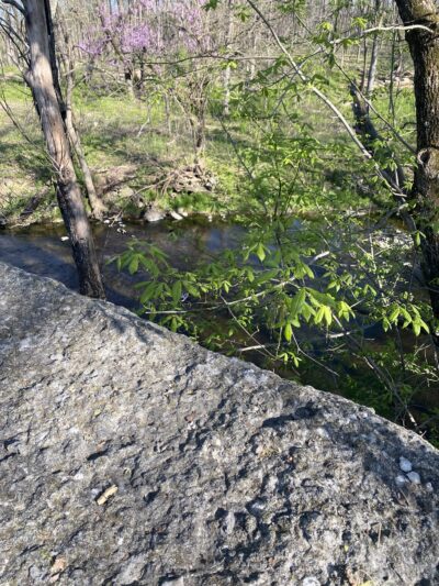 Seneca Park Loop - Louisville, KY