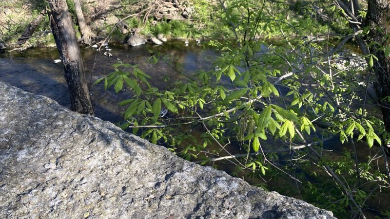 Seneca Park Loop - Louisville, KY