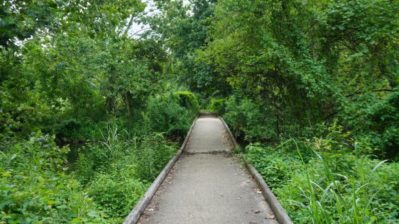 Seneca Park Pee Wee Reese Gravel Lot - Louisville, KY
