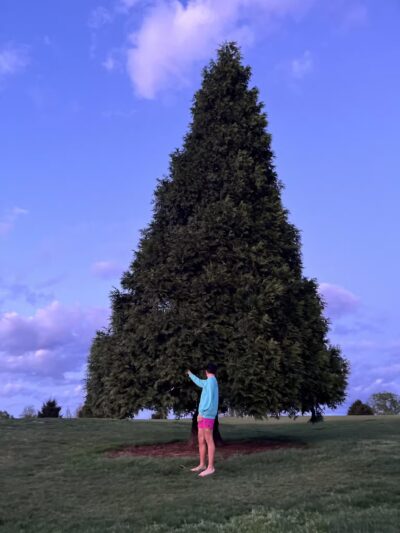Seneca Park Pee Wee Reese Gravel Lot - Louisville, KY