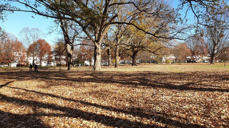 Shelby Park - Louisville, KY