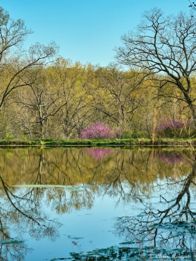 The Parklands of Floyds Fork - Louisville, KY