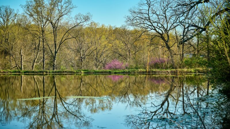 The Parklands of Floyds Fork - Louisville, KY