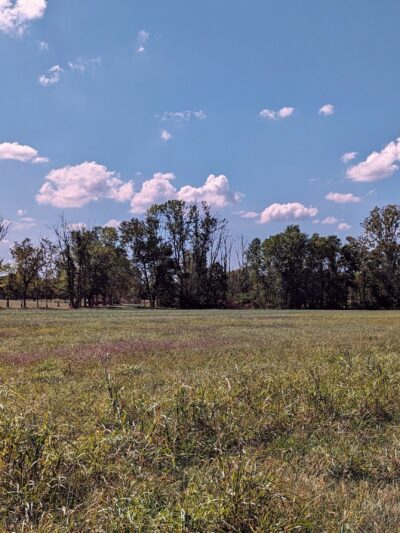 The Parklands of Floyds Fork - Louisville, KY