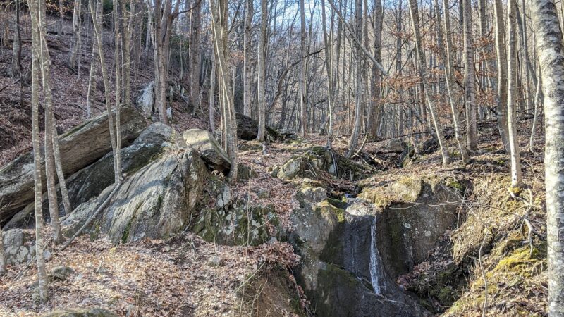 Fortune's Cove Preserve - Lovingston, VA