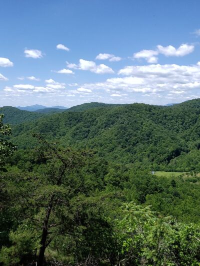 Fortune's Cove Preserve - Lovingston, VA