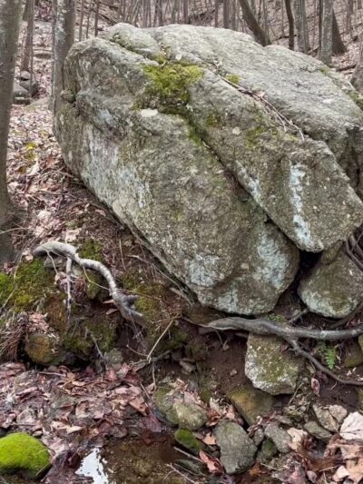 Fortune's Cove Preserve - Lovingston, VA