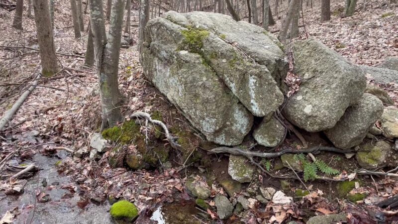 Fortune's Cove Preserve - Lovingston, VA