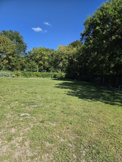 Centralville Dog Park - Lowell, MA