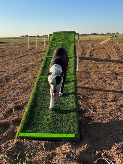 DJ2 Private Dog Park - Lubbock, TX