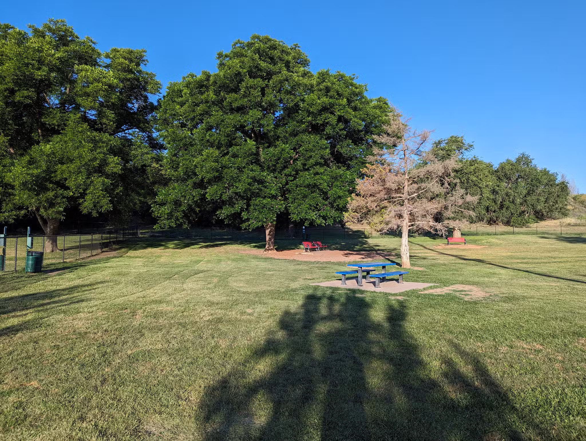 MacKenzie Canyon Run Dog Park - Lubbock, TX