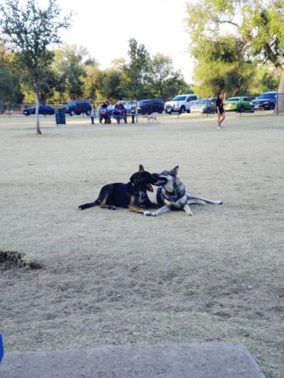 MacKenzie Canyon Run Dog Park - Lubbock, TX