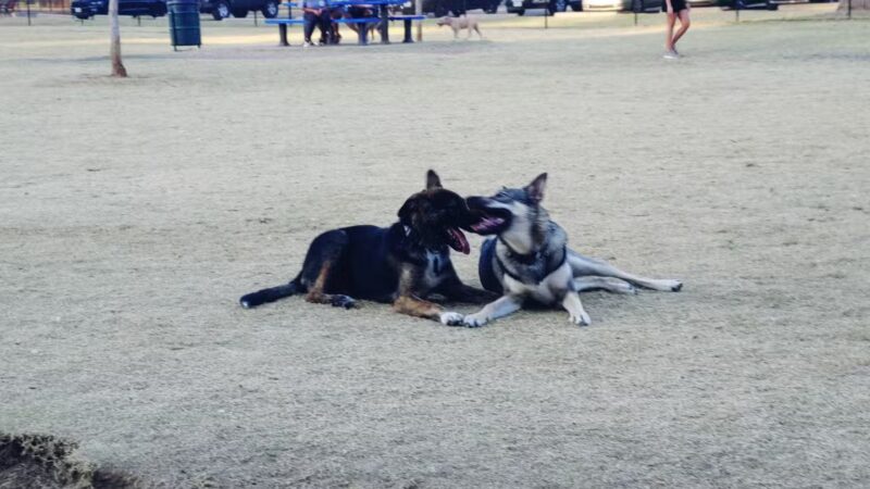MacKenzie Canyon Run Dog Park - Lubbock, TX