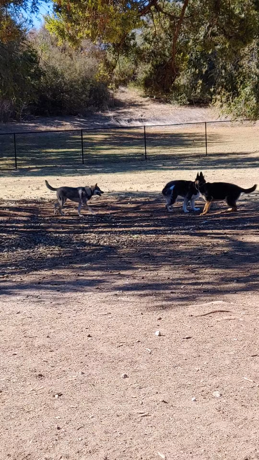 MacKenzie Canyon Run Dog Park - Lubbock, TX
