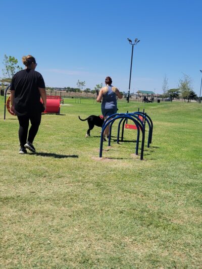 McAlister Dog Park - Lubbock, TX