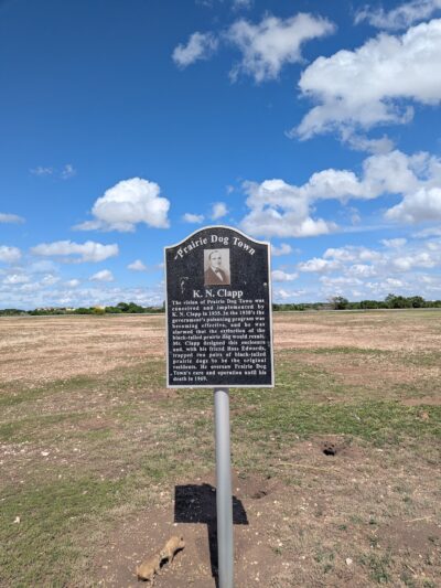 Prairie Dog Town - Lubbock, TX