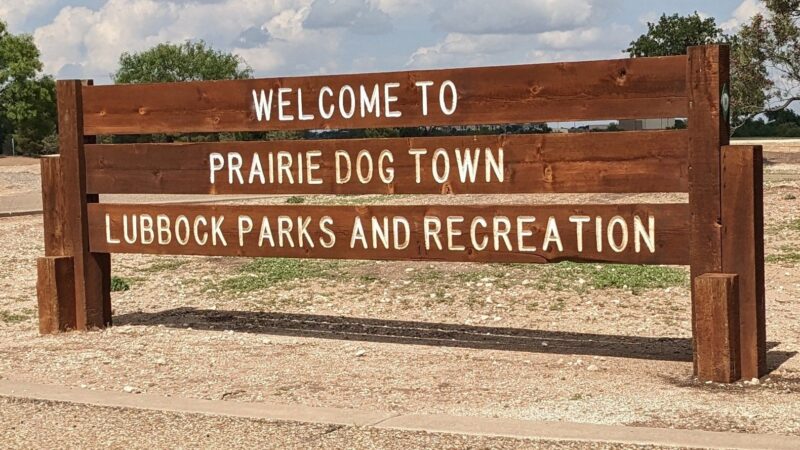 Prairie Dog Town - Lubbock, TX