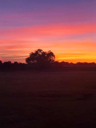 Private Dog Park Lubbock - Lubbock, TX