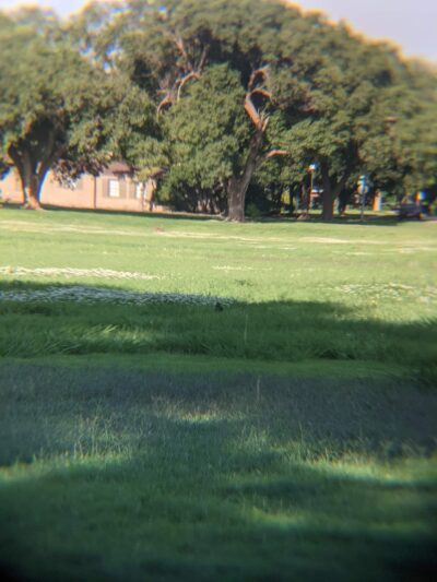 Tech Terrace Park - Lubbock, TX