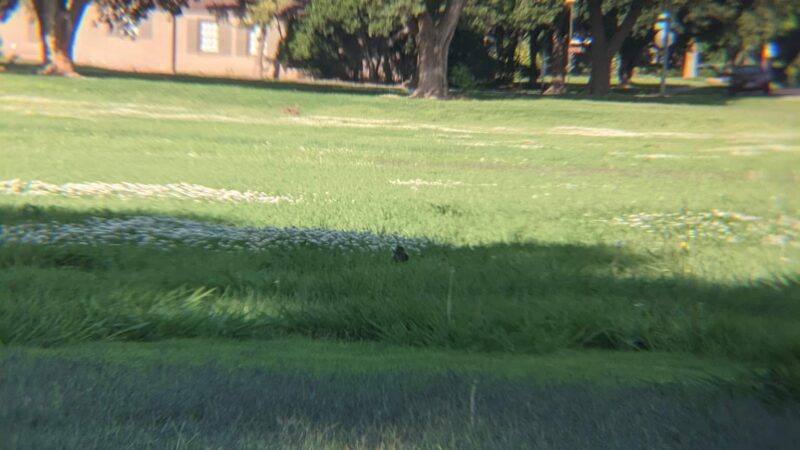 Tech Terrace Park - Lubbock, TX
